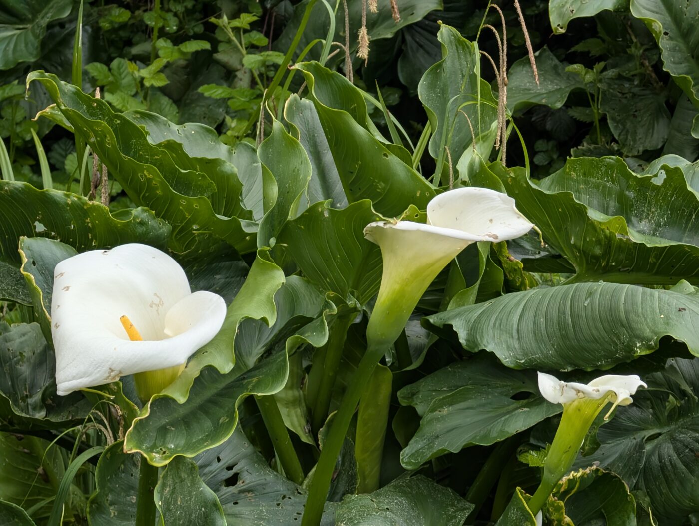 Image 9182